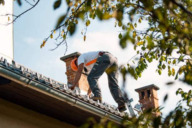 Best Roof Gutter Cleaning  in Woodsboro, TX