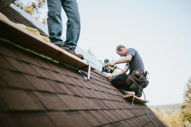Professional Roofing Contractor in Woodsboro, TX